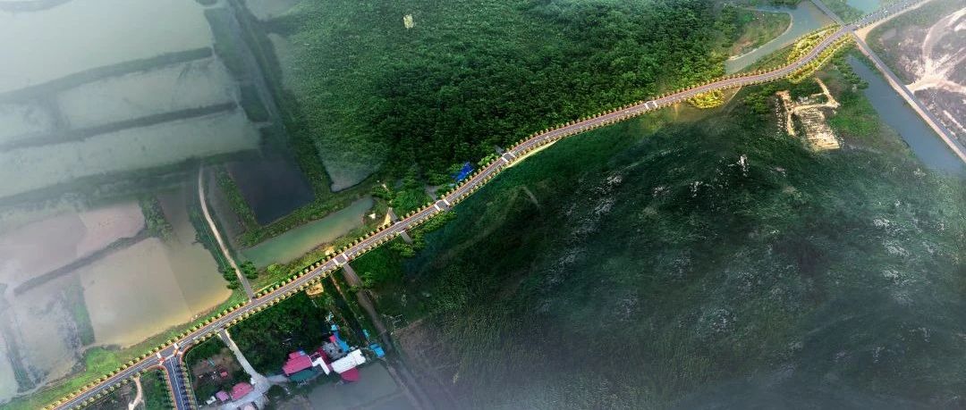 匠心筑精品 助力“淇澳行” | 珠海建工集團(tuán)淇澳大澳路道路工程順利完成竣工驗收~