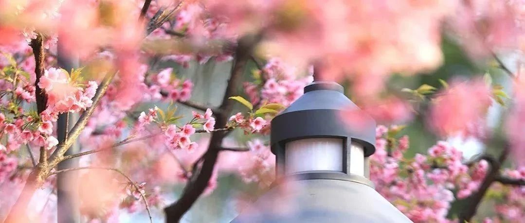 致敬了不起的她 | 眼中有光，心中有夢，世界因您而更美